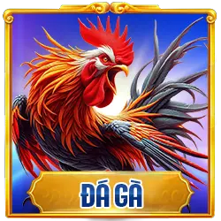 Đá gà