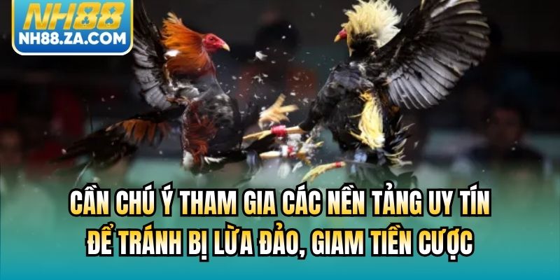 Cần chú ý tham gia các nền tảng uy tín để tránh bị lừa đảo, giam tiền cược