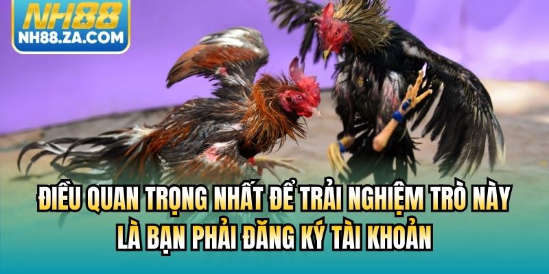 Điều quan trọng nhất để trải nghiệm trò này là bạn phải đăng ký tài khoản