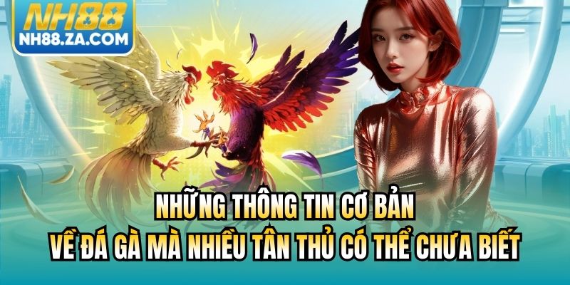 Những thông tin cơ bản về đá gà mà nhiều tân thủ có thể chưa biết
